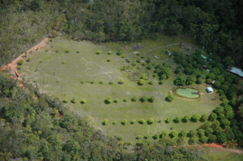 Top view - Cedar Park Rainforest Resort