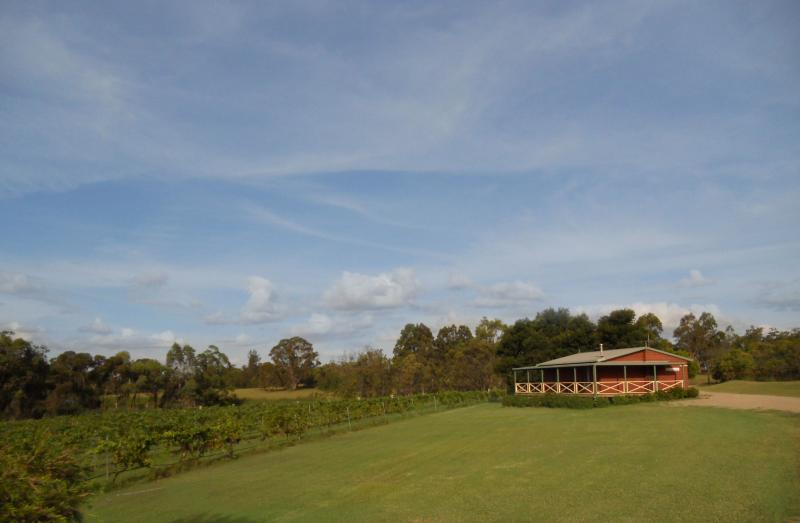 Secluded cottage with a vineyard view - Twin Trees Country Cottages