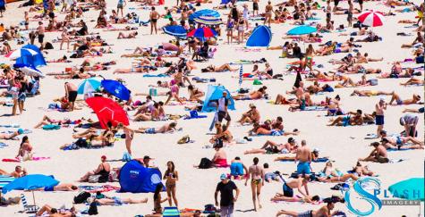 Coogee crowd - Coogee Bay Hotel