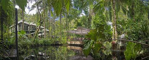 Exterior - Daintree Eco Lodge & Spa