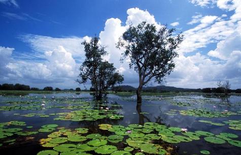 Davidson's Arnhemland Safaris - Photo 3