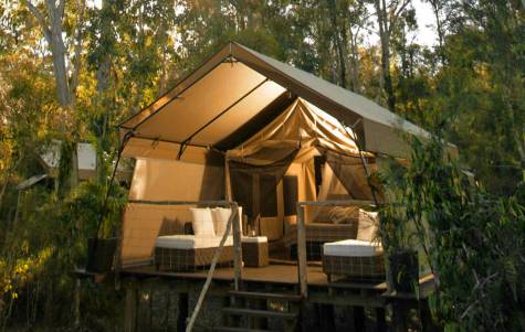 Deluxe Tent - Paperbark Camp