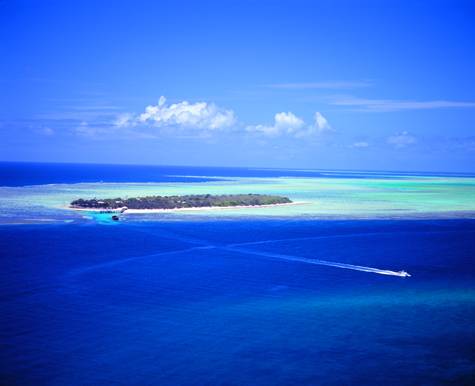 Heron Island - Heron Island Resort