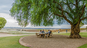 Novotel Barossa Valley Resort
