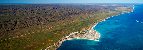 Ningaloo Reef Escape