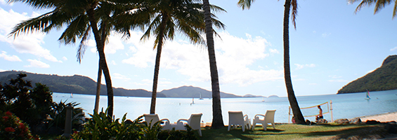 Reef Dive Experience