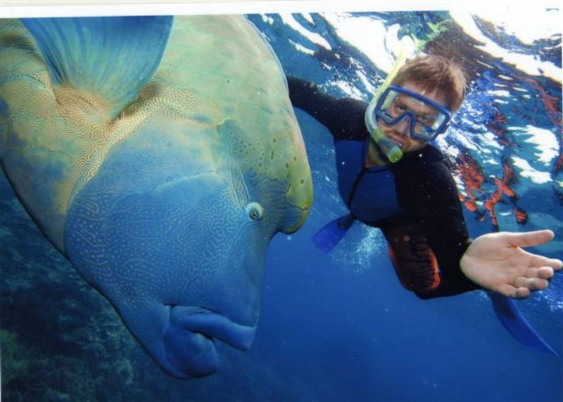 visit the reef and meet wally the wrasse
 - Cairns Holiday Lodge