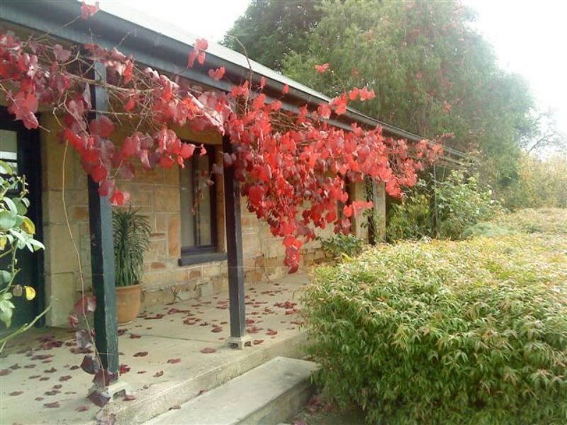 Vine exterior
- Ethel's Cottage