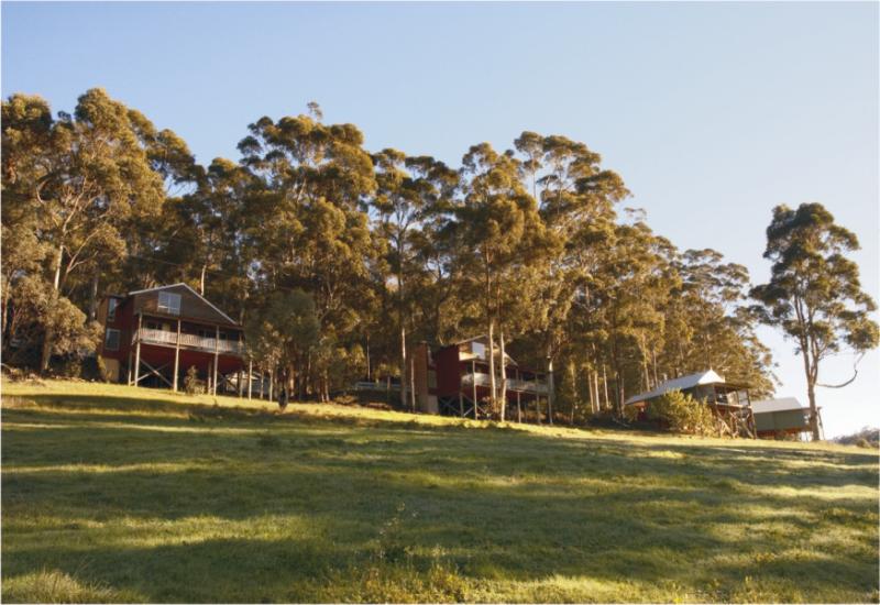 Nestled on the hillside under a canopy of eucalyptus
- Karma Chalets