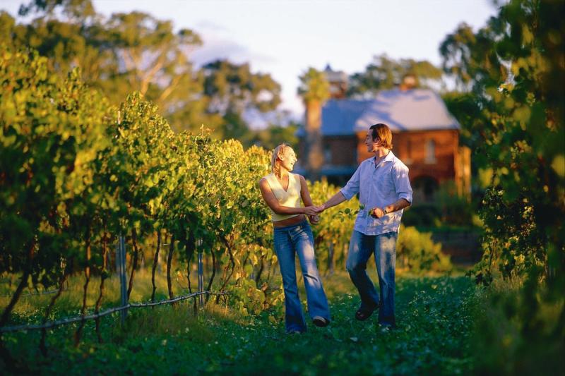Swan Valley
- Discovery Parks - Swan Valley