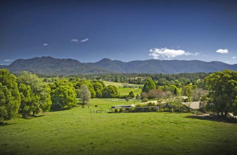 our views - Bellingen Valley Lodge