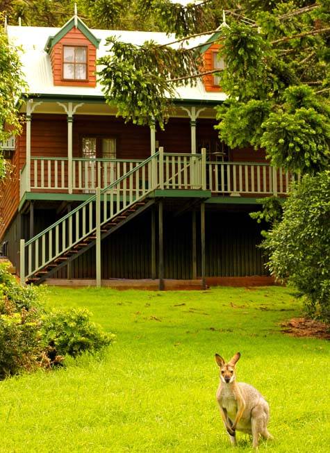 Sweet Inspirations
- Bunya Mountains Accommodation Centre