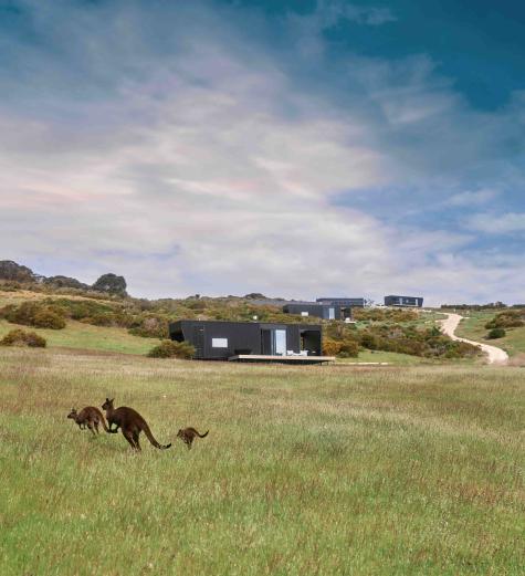 Cabins and kangaroos, CABN KI
- CABN X Kangaroo Island