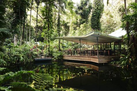 Hotel Exterior
- Daintree Ecolodge