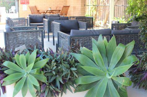 BBQ Area
- Golden Harvest Motor Inn