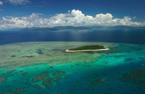 Aerial View
- Green Island Resort