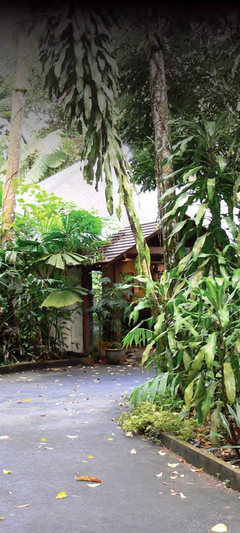 Exterior
 - Heritage Lodge in the Daintree