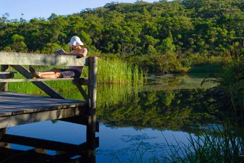 Kingfisher Bay Resort
- Kingfisher Bay Resort