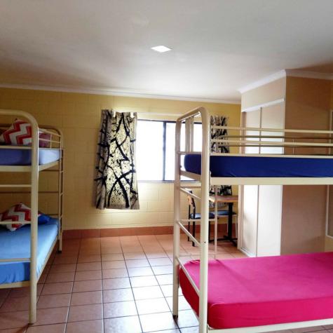 Shared Dorm with Bunk Beds  - Koala Beach Resort Cairns