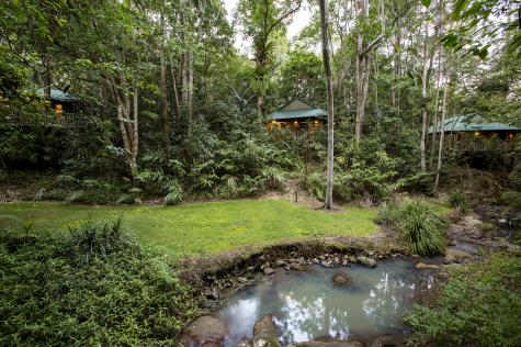 Secluded Pavilions in the Rainforest
- Narrows Escape Rainforest Retreat