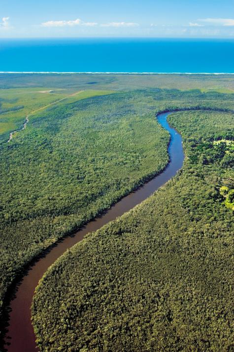 Aerial Everglades
- Habitat Noosa