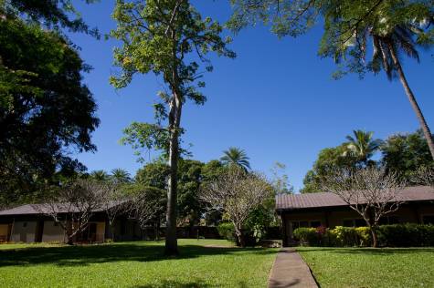 Hotel Grounds
 - Tanoa Skylodge Hotel