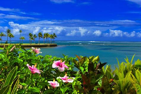 Resort
- The Naviti Resort