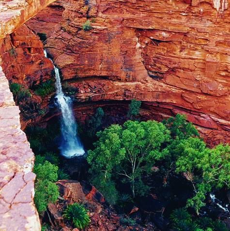 Kings Canyon
- Discovery Resorts - Kings Canyon