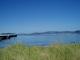 Petone Beach
 - 83 By the Sea Motor Lodge