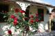 Rose Cottage External
 - A Settlers Cottage Accommodation