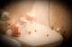 Spa
 - Apollo Resort Wamberal