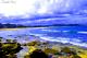 Beach
 - Apollo Resort Wamberal