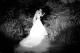 Weddings
 - Apollo Resort Wamberal