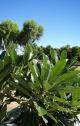 
 - BIG4 Plantation Caravan Park