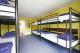 8 bed Dorm
 - Base Bay of Islands Backpackers