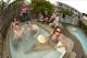 
 - Base Bay of Islands Backpackers