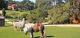 10 acres to roam
 - Bells Estate Great Ocean Road Cottages