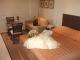 King Spa Room
 - Best Western Bungil Creek Motel