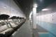 Evo Health Club & pool
 - Burbury Hotel & Apartments