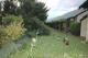 Ducks
 - Burra Motor Inn