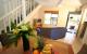 Queen Loft
 - Byron Central Apartments