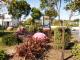Lovely grounds with lots of native trees and shrubs
 - Cascades Lakefront Motel