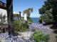 Courtyard garden with path to the lake
 - Cascades Lakefront Motel