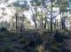 Bush Outlook
 - Chalets on Stoneville