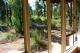 Looking Out
 - Chalets on Stoneville