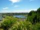 Wetlands view
 - Frog Gully Cottages