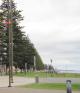 fantastic beachside , cafe area. very popular.
 - Glenelg Beachside Luxury Apartments