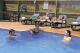 Swimming Pool
 - Hamilton Airport Motor Inn