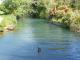 Well-known Waiteti Trout Stream
 - Jack and Di's Lakefront Resort