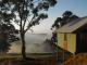 Misty Joy
 - Karma Chalets
